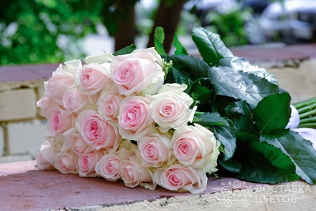 Букет из 21 розовой розы "Свит Ревайвл"